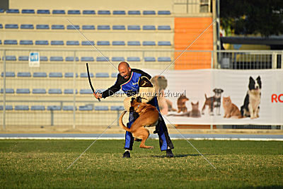 Reunion (FCI) Constantin Anoubis