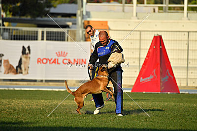 Reunion (FCI) Constantin Anoubis