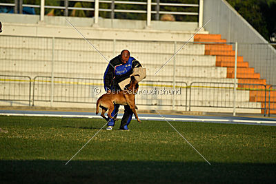 Reunion (FCI) Constantin Anoubis