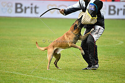 Reunion Constantin Anoubis