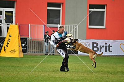 Reunion Constantin Anoubis