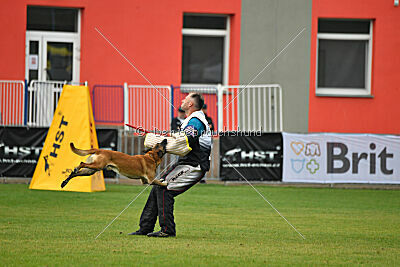 Reunion Constantin Anoubis