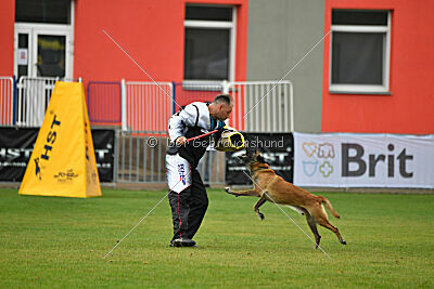 Reunion Constantin Anoubis