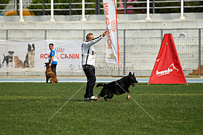 Rex vom Weinbergblick