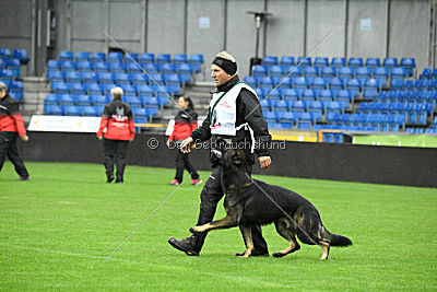 Rex vom Weinbergblick