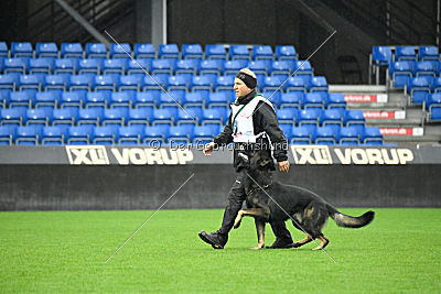 Rex vom Weinbergblick