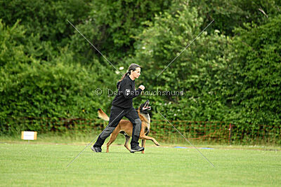 Rien ne va plus Campino