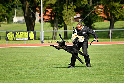 Ringo vom Lindelbrunn