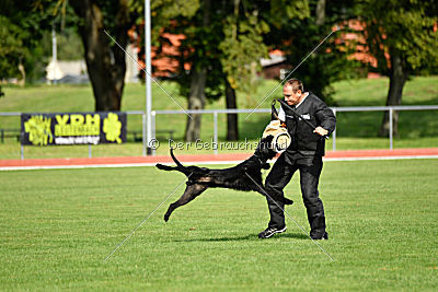 Ringo vom Lindelbrunn