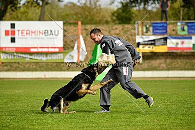 Rocco del Camino Duro