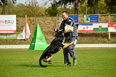 Rocco del Camino Duro