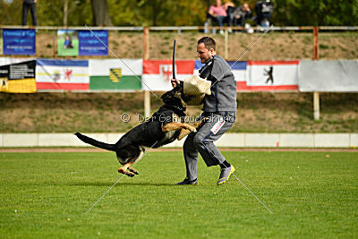 Rocco del Camino Duro