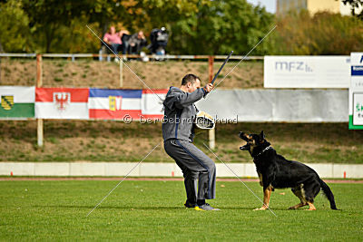 Rocco del Camino Duro