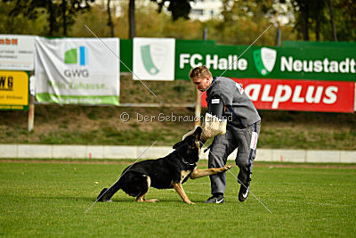 Rocco del Camino Duro