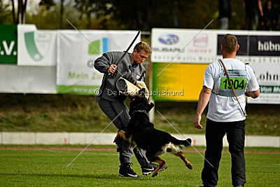 Rocco del Camino Duro