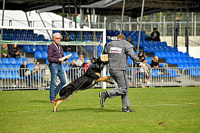 Rocco del Camino Duro