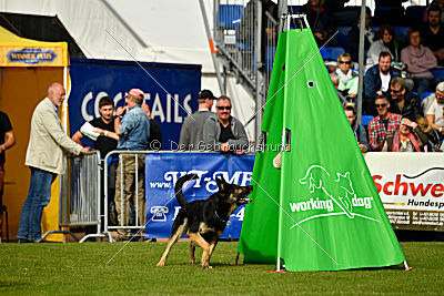 Rocco del Camino Duro