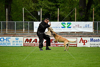 Rocket (de Boer)