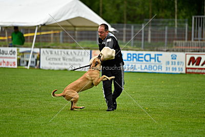 Rocket (de Boer)