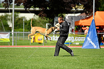 Rocket (de Boer)