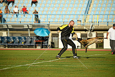 Roger de Knueve Hispania