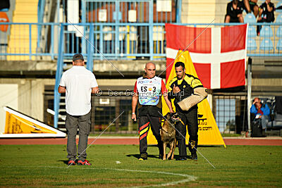 Roger de Knueve Hispania