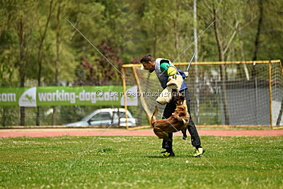 Roger de Knueve Hispania