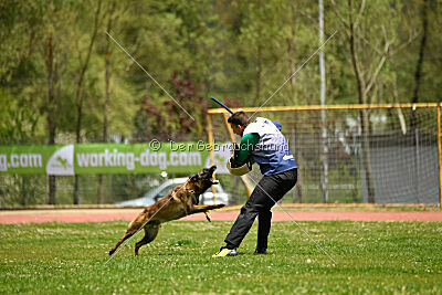 Roger de Knueve Hispania