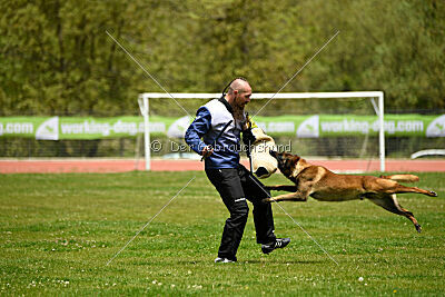 Roger de Knueve Hispania