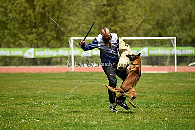 Roger de Knueve Hispania