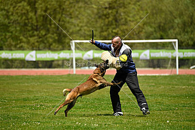 Roger de Knueve Hispania