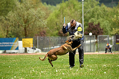 Roger de Knueve Hispania