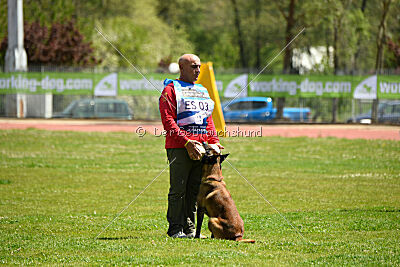 Roger de Knueve Hispania