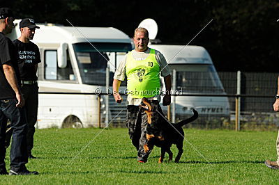 Ron vom Stüffelkopf