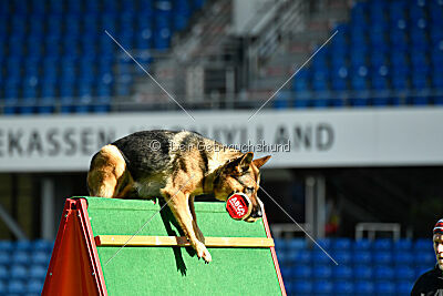 Rossia iz Vorta Wernogo