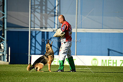 Rossia iz Vorta Wernogo