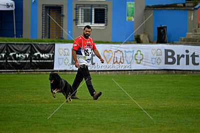 Rufus ze Stribrneho kamene