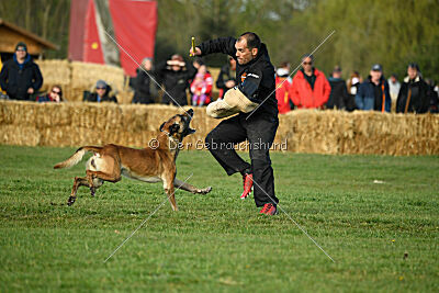 S'Marco vom Kistenstein