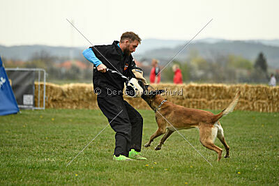 S'Marco vom Kistenstein