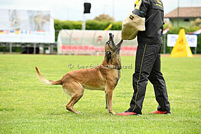 S'Marco vom Kistenstein