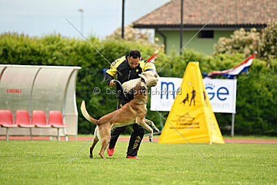 S'Marco vom Kistenstein