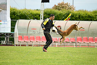S'Marco vom Kistenstein