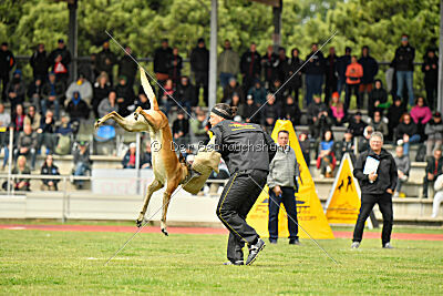 S'Marco vom Kistenstein