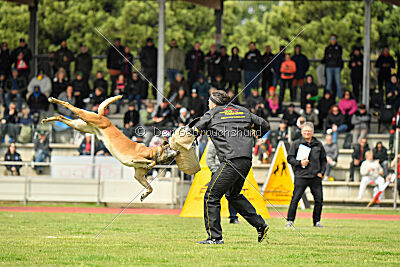 S'Marco vom Kistenstein