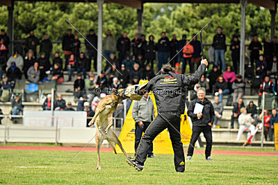 S'Marco vom Kistenstein