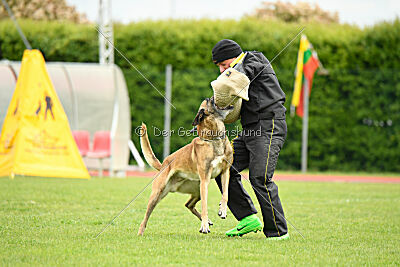 S'Marco vom Kistenstein