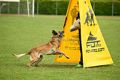 S'Marco vom Kistenstein
