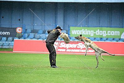 S'Marco vom Kistenstein