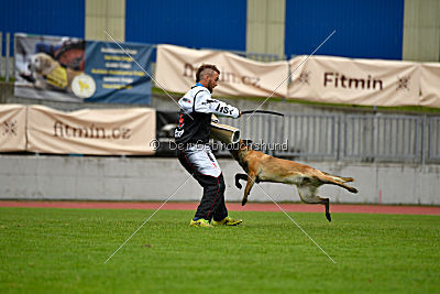Safft Security's Coxie