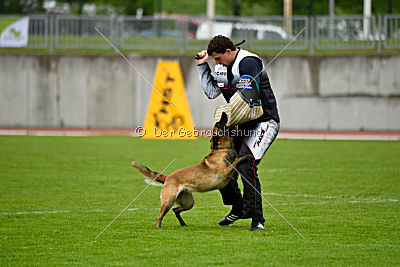 Safft Security's Coxie